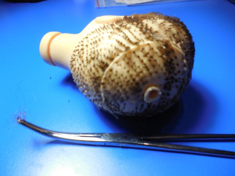 SOS!!! Прошивка волос — Помощь в ремонте кукол: вопросы мастерам и советы по реставрации (фото 2)