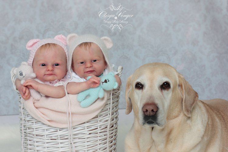 Прототипы Марк и Мэри от Ольги Ауэр ( Marc and Mary by Olga Auer). Куклы реборн Олеси Венгер