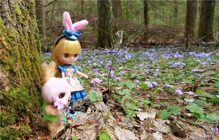 Застенчивая Алиса. Middie Blythe Doll Pebble Cakes & Shrinking Alice