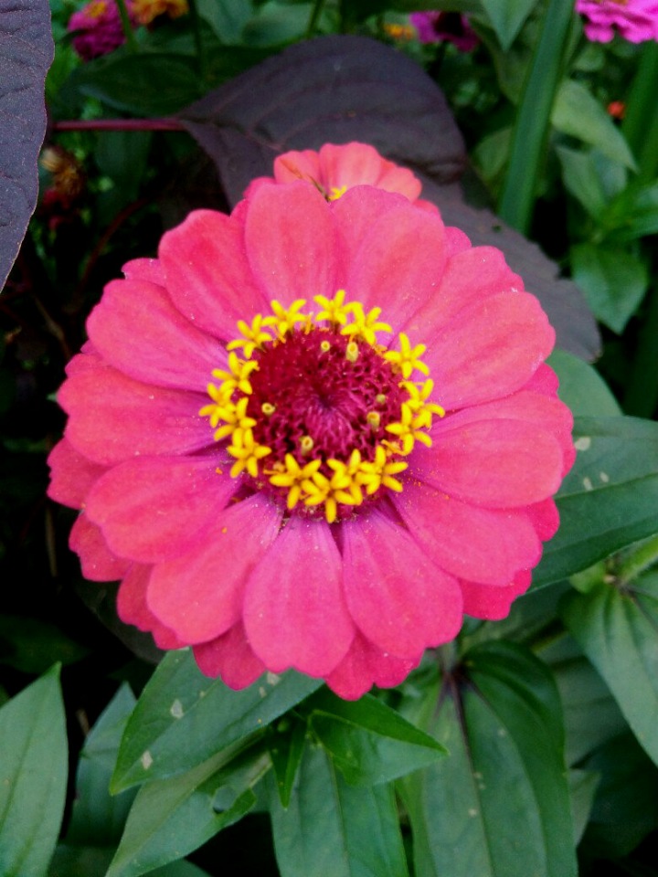 The inhabitants of the Silver tower (Обитатели Серебряной башни): Первая прогулка доктора Беннера (фото 7)