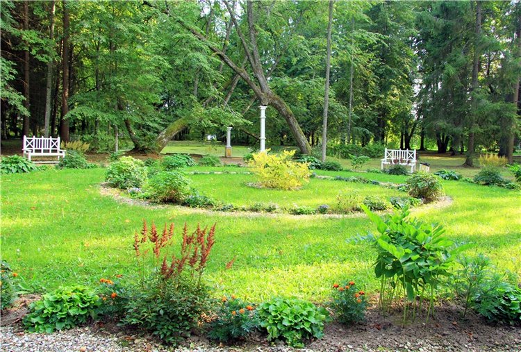 Августовская прогулка в Берново. Zwergnase Mischa