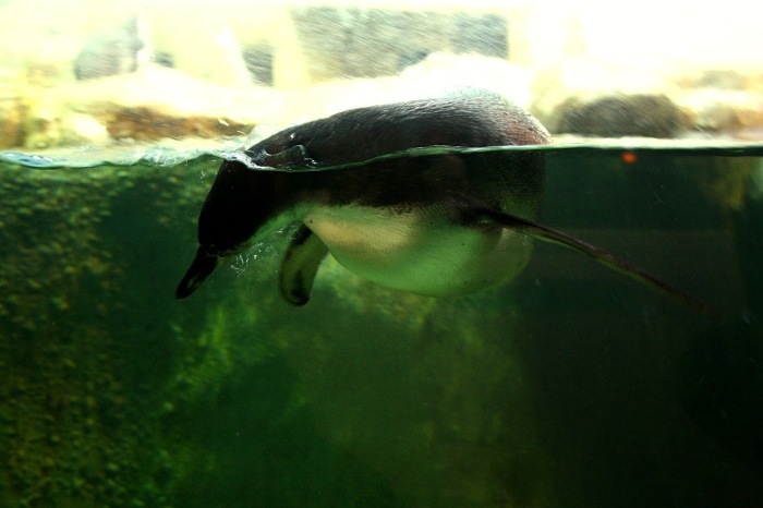 Московские каникулы. Часть 1