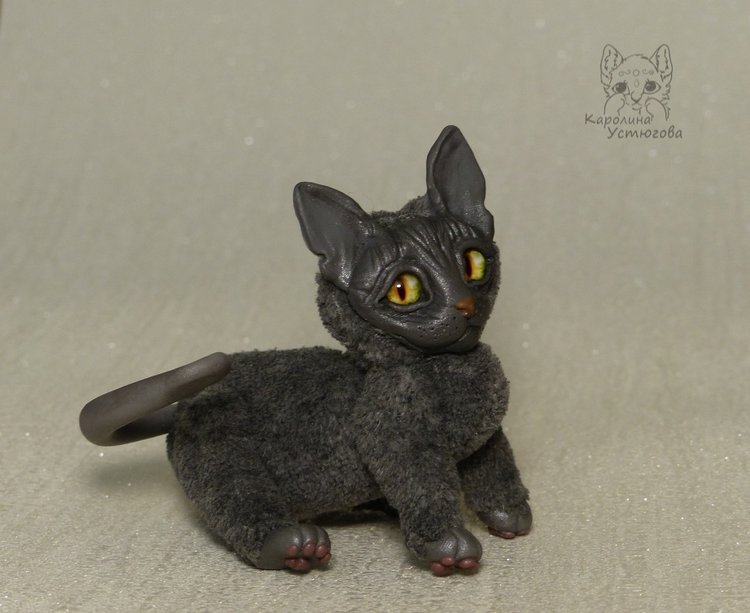 Миниатюрные серые Сфинксы