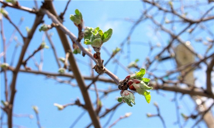 Накануне Светлого Праздника Пасхи. Старица, Свято-Успенский монастырь (фото 4)