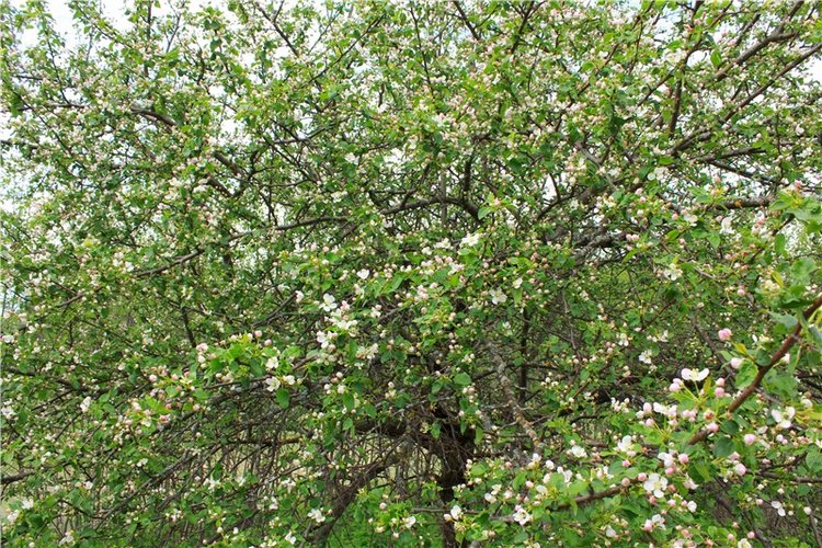 Женя-путешественница — Советские винтажные куклы (СССР): Ленигрушка