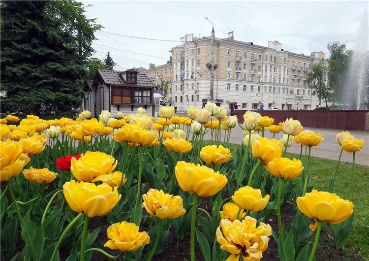 Милый мой город. Прогулка по Твери, продолжение (фото 10)