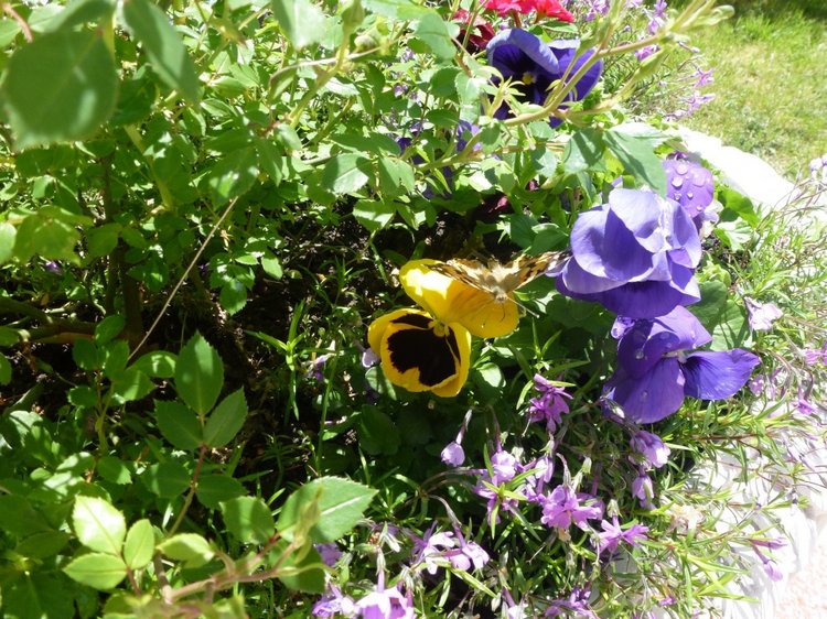 Сочи-Адлер: Южное Взморье - Мои любимые куколки на отдыхе