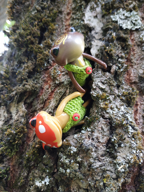 Wonderfrog. Красота в простоте