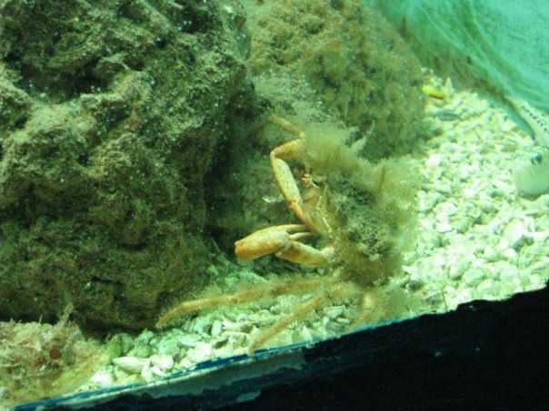 Путешествие на о. Кипр — Туризм и путешествия: фотоотчеты из поездок