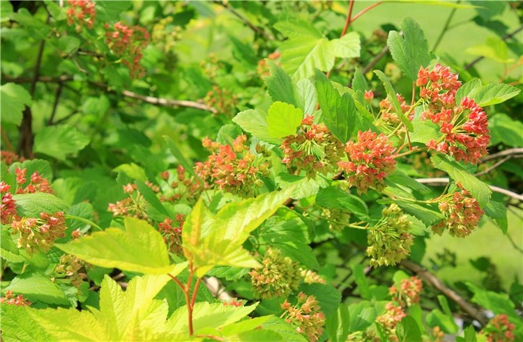 Любимая Старица. Свято-Успенский мужской монастырь (фото 8)