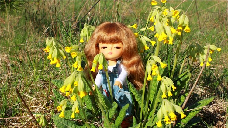 Прогулка Софи. Lati HoneyBee New Mystic Sophie | Бэйбики Прогулка Софи. Lati HoneyBee New Mystic Sophie