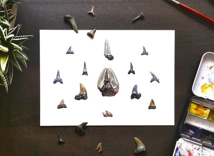 SnailMaidenStudio - Акварельные иллюстрации маленьких живых существ