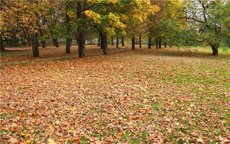 Золотая Осень в Берново с Имани. Mini Imani от Kaye Wiggs