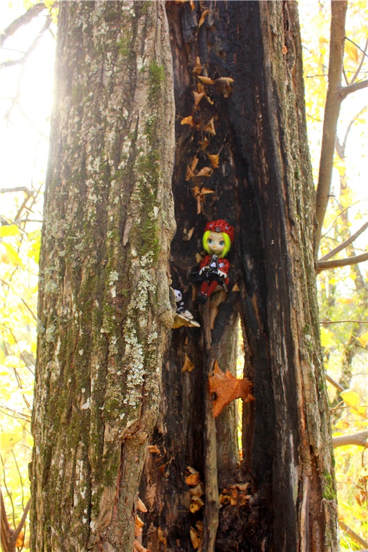 Путешествие Dal Hangry в Грузины, продолжение