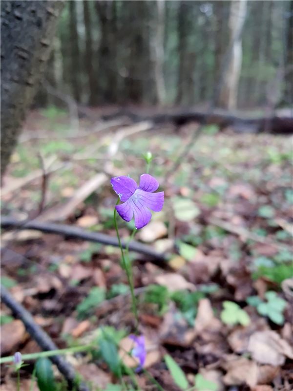 Путешествие по Святым местам Тверской области