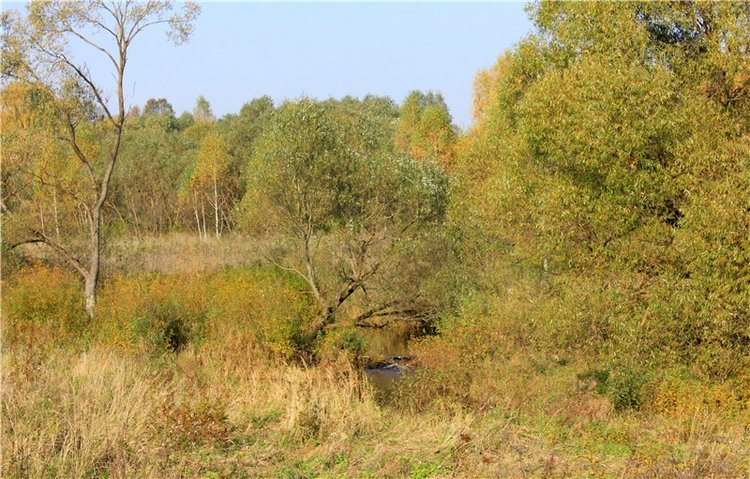 Путешествие Dal Hangry в Грузины