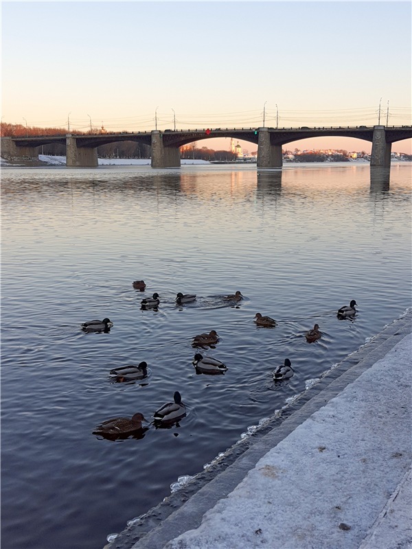 Декабрьская Тверь — Туризм и путешествия: фотоотчеты из поездок
