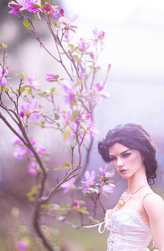 Дама в цветущем саду — Куклы Iplehouse (Иплхаус): BJD (БЖД) (фото 4)