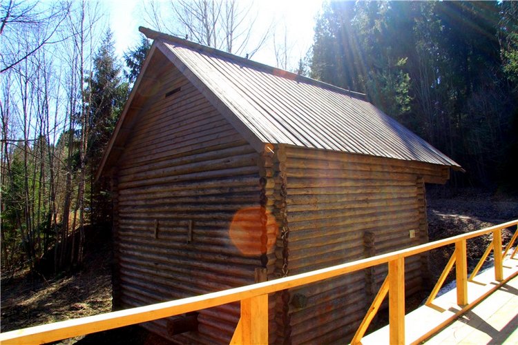 Апрельский день в Василёво, третья часть (фото 9)