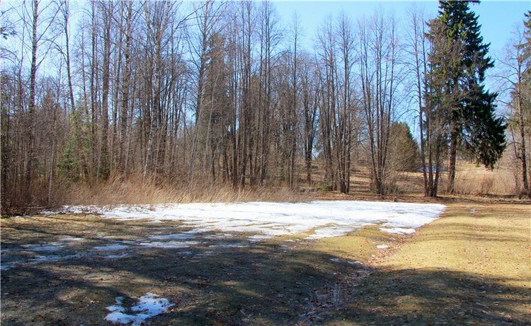 Апрельский день в Василёво, продолжение (фото 3)