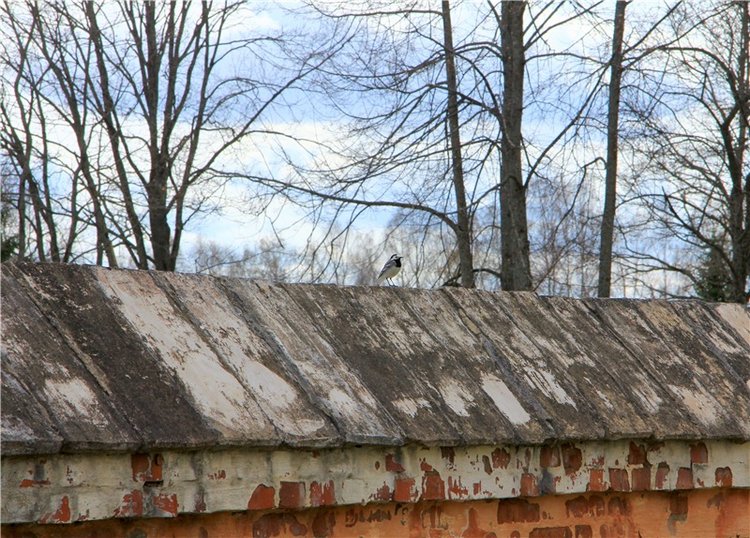 Усадьба Чукавино, Тверская область