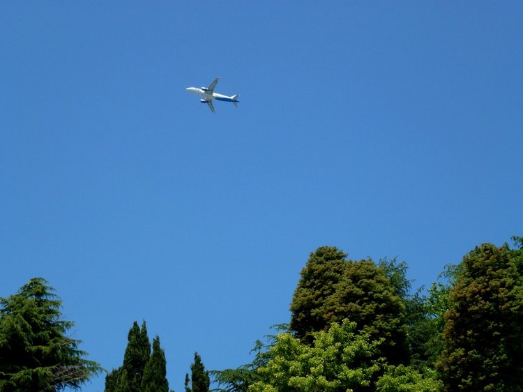 Краснодарский Край, Сочи-Адлер, Санаторий «Южное Взморье»