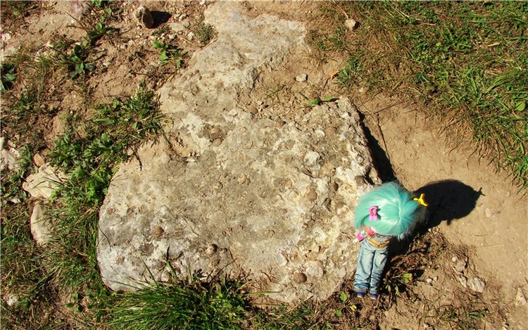 Старицкая Швейцария. Старицкие пещеры, д. Толпино, заключительная часть