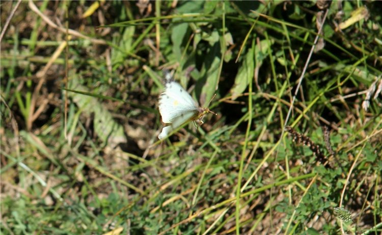 Старицкая Швейцария. Старицкие пещеры, д. Толпино, заключительная часть