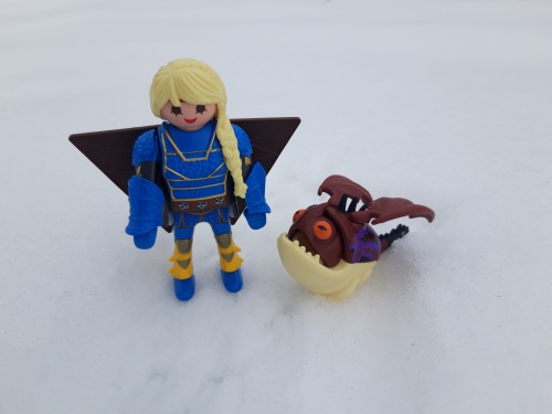 Playmobile: How To Train Your Dragon | Бэйбики Playmobile: How To Train Your Dragon