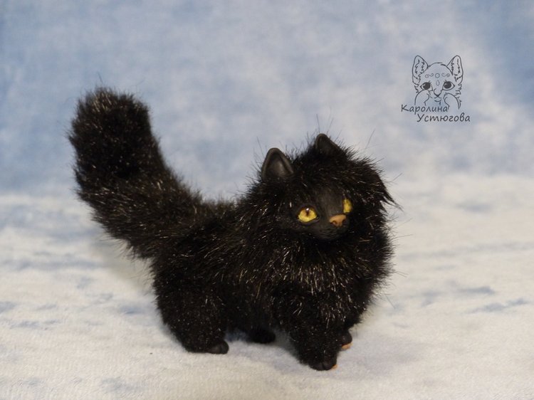 Кот породы Мейн-ку́н, черный. Я к удаче