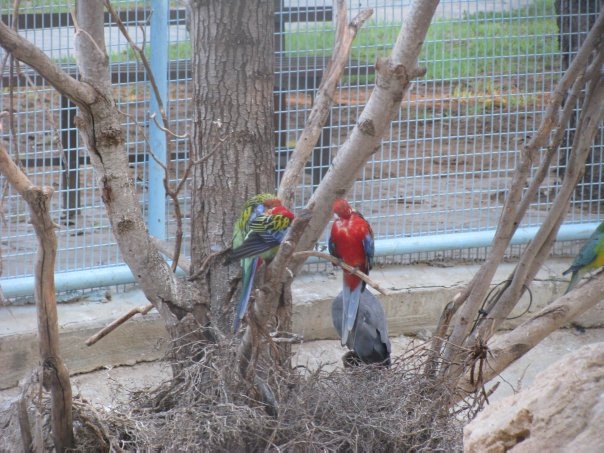 Путешествие на о. Кипр — Туризм и путешествия: фотоотчеты из поездок