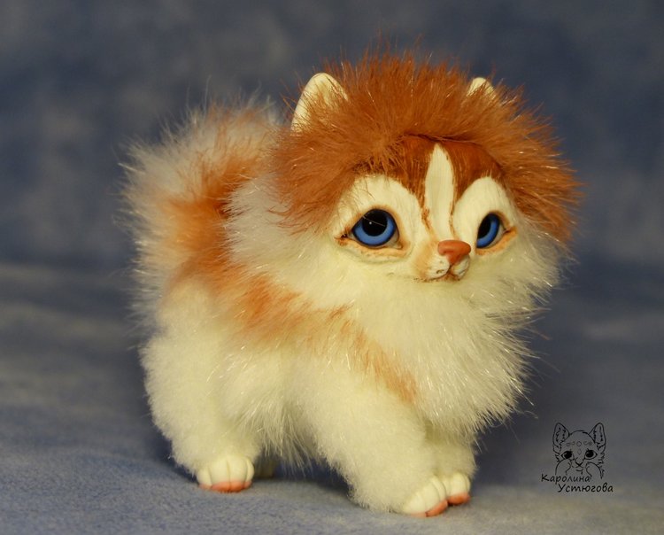 Щенок Хаски, миниатюра. Медный Окрас (фото 2)