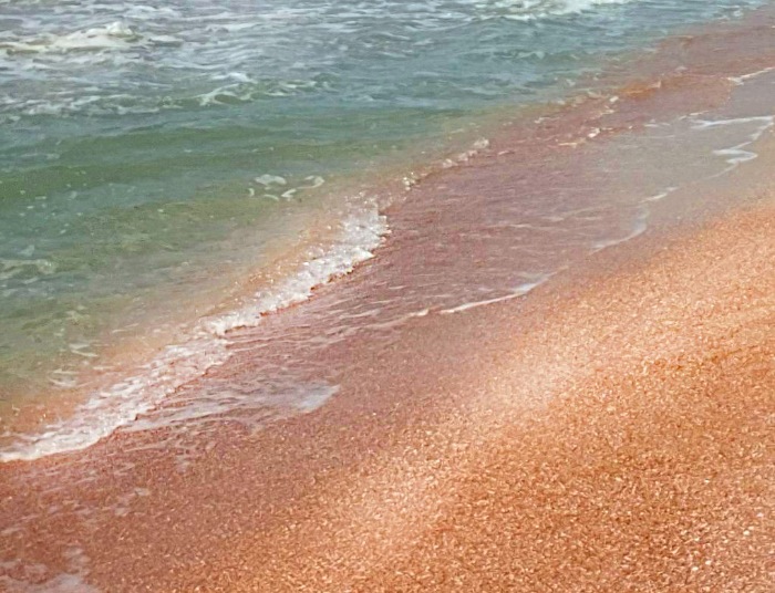 Воспоминания о море и лете - Крым