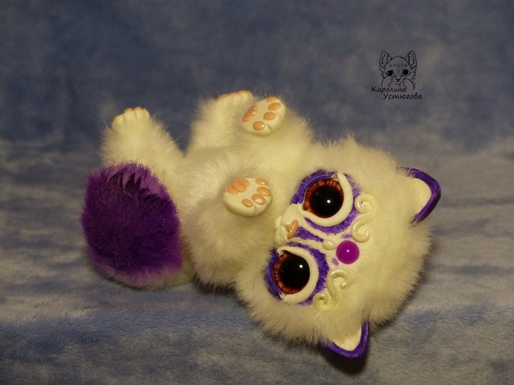 Королевские волшебные коты, породы: Мирис. В кадре и за кадром. Процесс