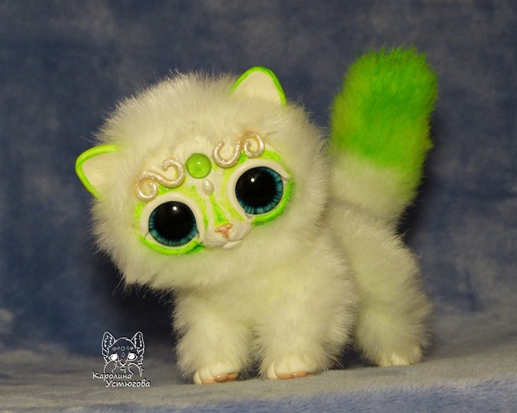 Королевские волшебные коты, породы: Мирис. В кадре и за кадром. Процесс