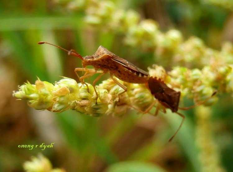 Любителям природы - профессиональные фотографии (выпуск 4)