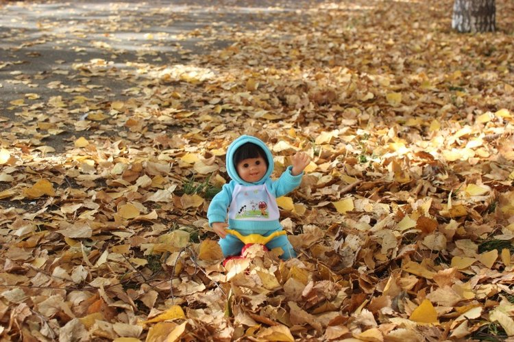 Осень моих вихтелят 2 — Куклы Rosemarie Anna Muller (Мюллер): Вихтели (Wichtel) (фото 5)