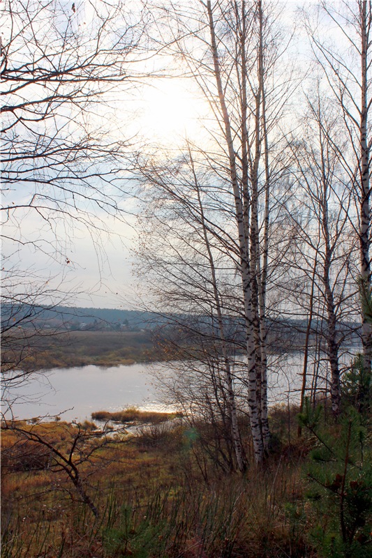 Гришутка — Винтажные куклы ГДР (Немки): Бигги