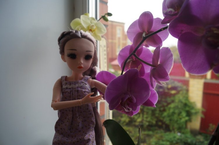 Я подарила сестрёнке куклу, она назвала её Агата (фото 7)