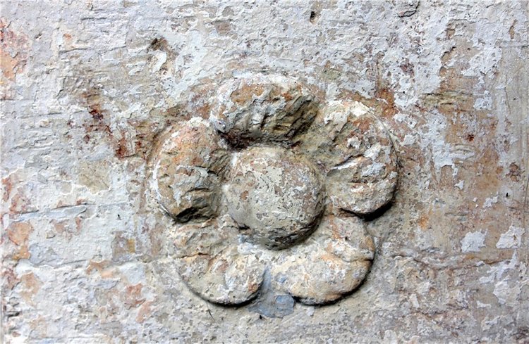 Путешествие Dal Hangry в Грузины