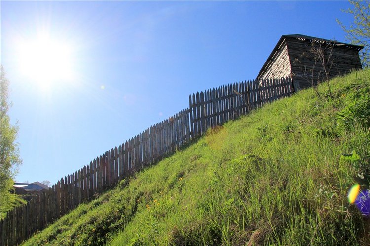 Одуванчиковая нежность, прогулка по Торжку