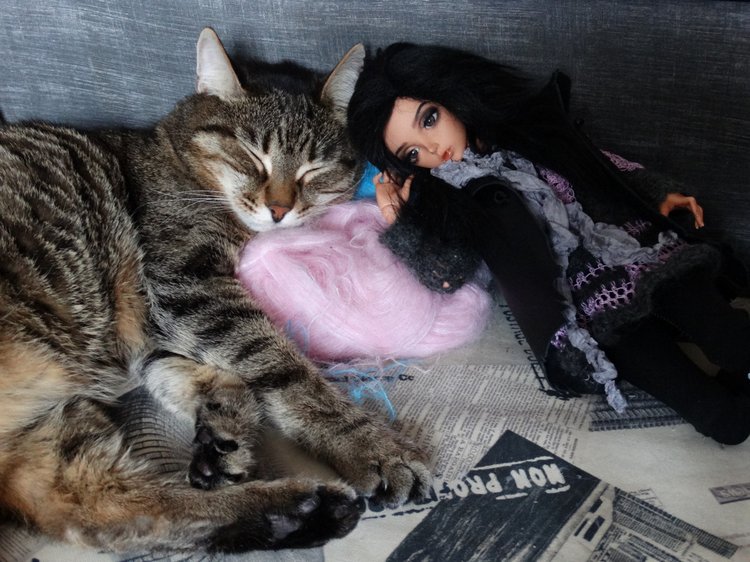 Кото-фото — В мире животных: смешные фото питомцев и зверей