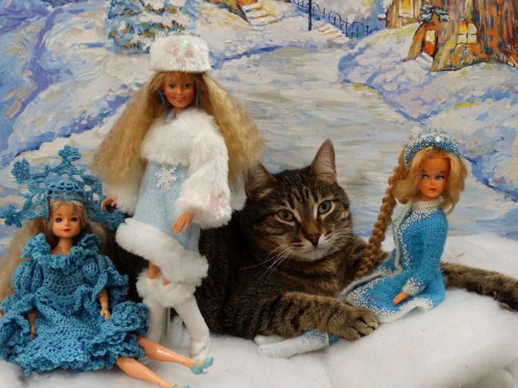 Кото-фото — В мире животных: смешные фото питомцев и зверей (фото 10)