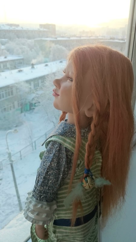 Неожиданное приобретение. Миалотта от Цвергназе - рыжая, хитрющая, сама себе на уме (фото 3)