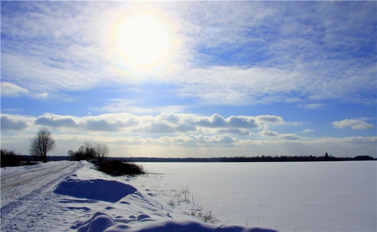 Зимняя прогулка Сони. Уникальная кукла от Сильвии Наттерер