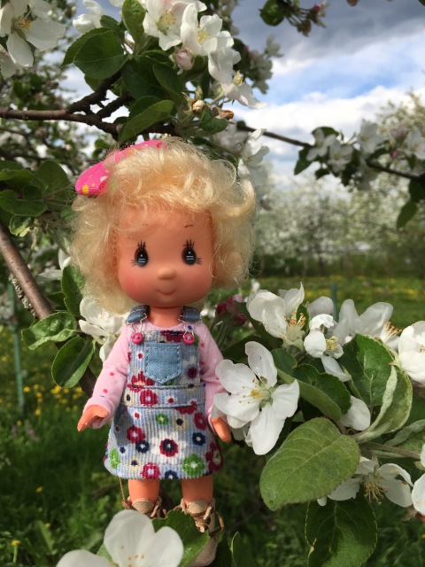 Поездка на дачу с Mui-chan, Migliorati и Sonny angel