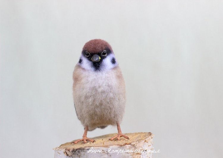 Воробушки — Валяные игрушки из шерсти: сухое валяние