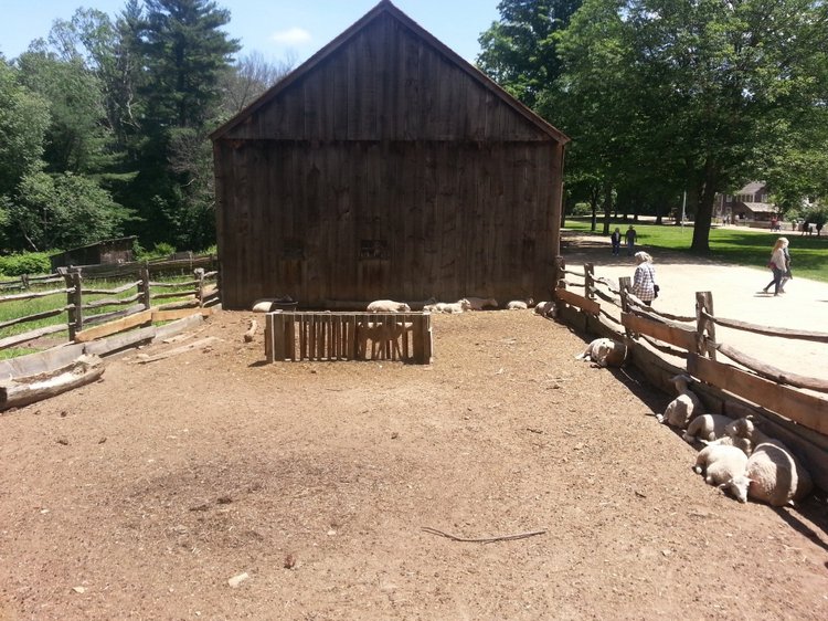 Прокатимся на машине времени? Поселение Старбридж. Новая Англия. 1830 год