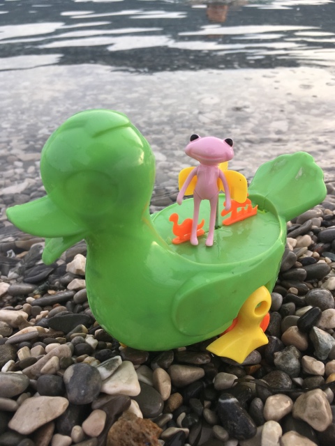 Таша Wonderfrog в Черногории