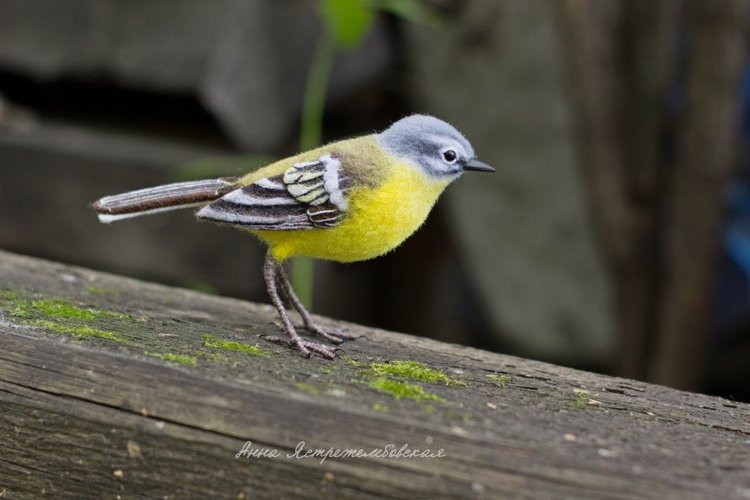 Жёлтая трясогузка — Валяные игрушки из шерсти: сухое валяние